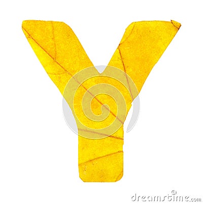 Letter Y carved from the autumn leaves Stock Photo