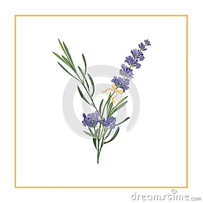 Letter Y monogram. Retro sign alphabet with lavender flower initial Cartoon Illustration