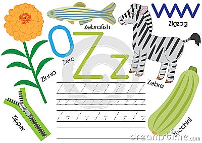 Letter Z. Education for children. Learning English alphabet with writing practice Vector Illustration