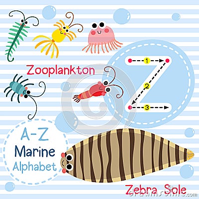 Letter Z tracing. Zooplankton. Zebra Sole. Marine alphabet Vector Illustration