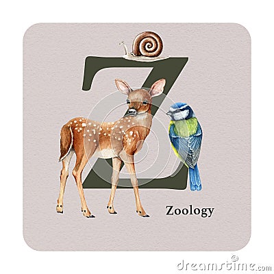 Letter Z with zoology symbol on the card. Watercolor illustration. Forest animal ABC alphabet study element. Wildlife Cartoon Illustration