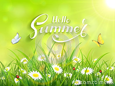 Lettering Hello Summer on green nature background Vector Illustration