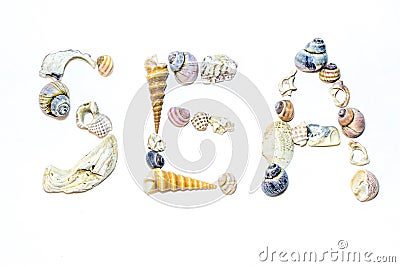 Lettering sea of small marine colorful light orange blue pink purple seashells of different shapes on white backdrop. Snail shell Stock Photo