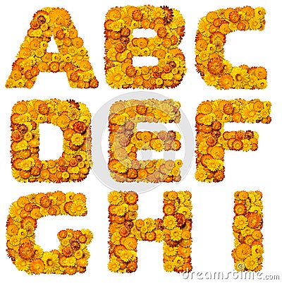 Letters from alphabet from yellow and orange flowe Stock Photo