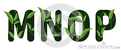 Letters M N O P of the alphabet. Leaf design Vector Illustration