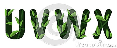 Letters U V W X of the alphabet. Leaf design Vector Illustration