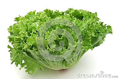 Lettuce Stock Photo