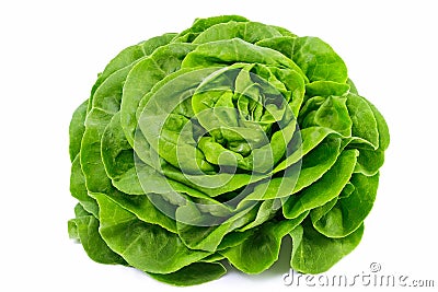 Lettuce Stock Photo