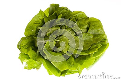 Lettuce Stock Photo