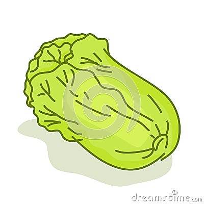 Lettuce cartoon isolated illustration Vector Illustration