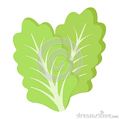 Lettuce flat icon, vegetable and salad leaf Vector Illustration