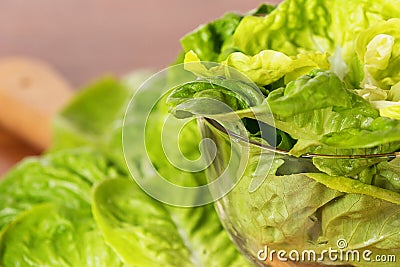 Lettuce in glass bowl on a wooden plate Stock Photo