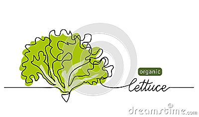 Lettuce, green leaves, bunch of salad vector illustration, background. One line drawing art illustration with lettering Vector Illustration