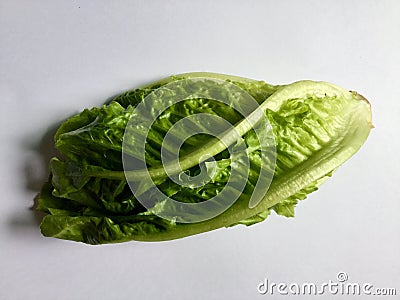 lettuce head. Green veggie. Stock Photo