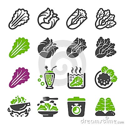 Lettuce icon set Vector Illustration