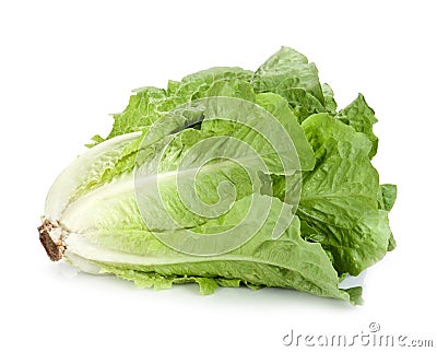 Lettuce isolated Stock Photo