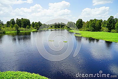 Lettuce lake park Stock Photo