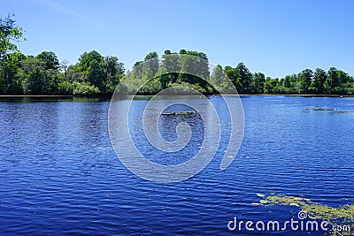 Lettuce Lake Park, Stock Photo