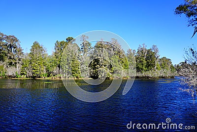 Lettuce lake Stock Photo