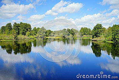 Lettuce lake park Stock Photo