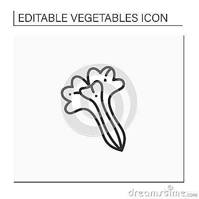 Lettuce line icon Vector Illustration