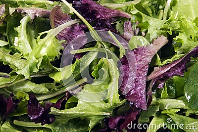 Lettuce - Mixed Baby Leaves Stock Photo