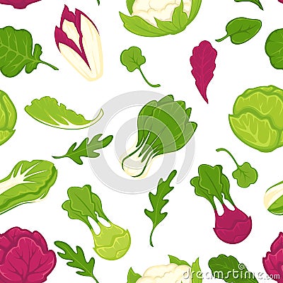 Lettuce and salad leaves parsley herbs and greenery for seasoning Vector Illustration
