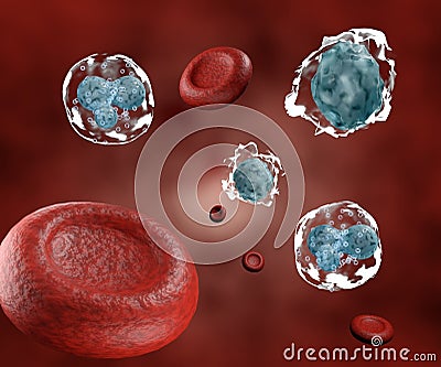 leucocyte and basophile white blood cells in the blood flow Stock Photo