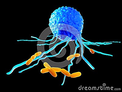 The leucocyte - close up Cartoon Illustration