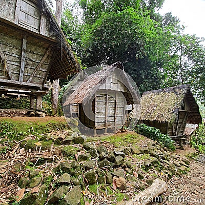 The leuit, is the name for the barn for food reserves. The leuit is a Baduy culture to store food reserves. Stock Photo