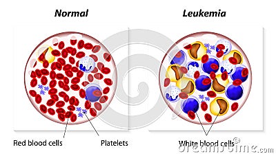 download atlas of dermatology in internal