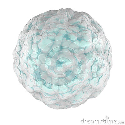 Leukocyte, white blood cell seen under a microscope. Cell Stock Photo