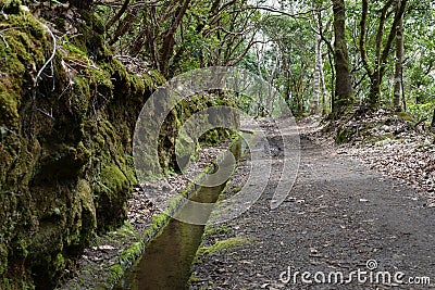 Levada of Madeira Island, type of irrigation canals, Portugal Stock Photo