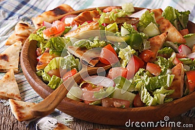 Levantine salad - fattoush close up in a bowl. horizontal Stock Photo