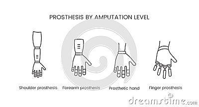The level of amputation of the arm. Prosthetic vector line icon Vector Illustration