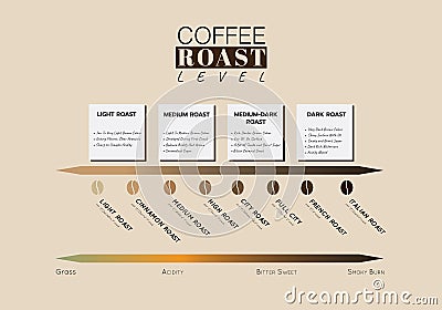 Level of coffee roast. Level of Coffee Acidity and taste. Illustration vector graphic Vector Illustration