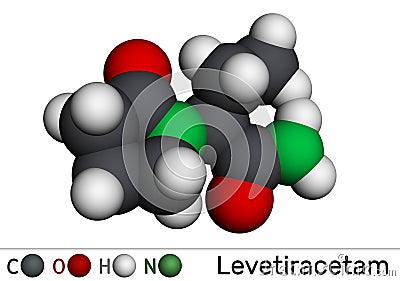 Levetiracetam molecule. It is pyrrolidine, anticonvulsant medication used to treat epilepsy. Molecular model. 3D rendering Stock Photo