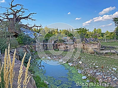 Lewa Savanna landscape - Landschaft von der Lewa Savanne or La savana Lewa - The Zoo ZÃ¼rich Zuerich or Zurich, Switzerland Stock Photo