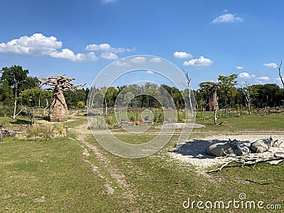 Lewa Savanna landscape - Landschaft von der Lewa Savanne or La savana Lewa - The Zoo ZÃ¼rich Zuerich or Zurich, Switzerland Stock Photo