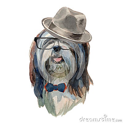 Lhasa apso dog - watercolor realistic isolated hipster dog portrait Stock Photo