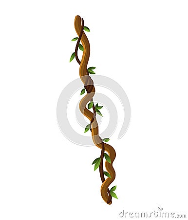 Liana or jungle wild vine winding branches. Woody natural tropical rainforest Vector Illustration