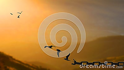 Liberty Concept. Birds fly Away Breaking Metal Chains At high mountain sunset. Freedom, deliverance, concepts Stock Photo