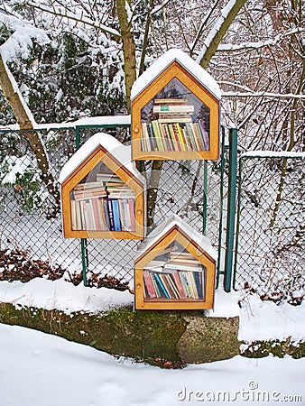 Library in Residential Neighborhood. Little Free Library Editorial Stock Photo