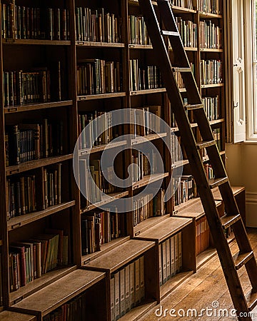 Library books ladder colour library ladder Stock Photo