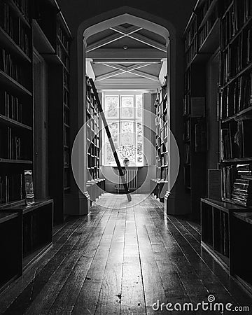 Library ladder books on shelf near window Stock Photo