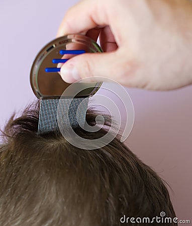 Lice comb and brunette hair copyspace Stock Photo