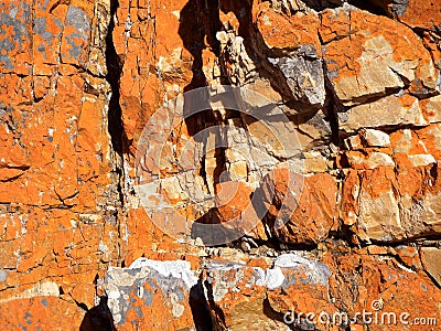 Lichen rock background Stock Photo