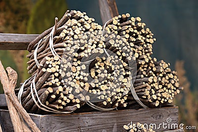 Licorice roots to the market Stock Photo