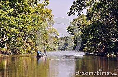 Life in Amazon Jungle Editorial Stock Photo