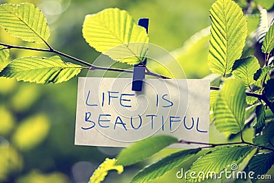 Life is Beautiful Stock Photo